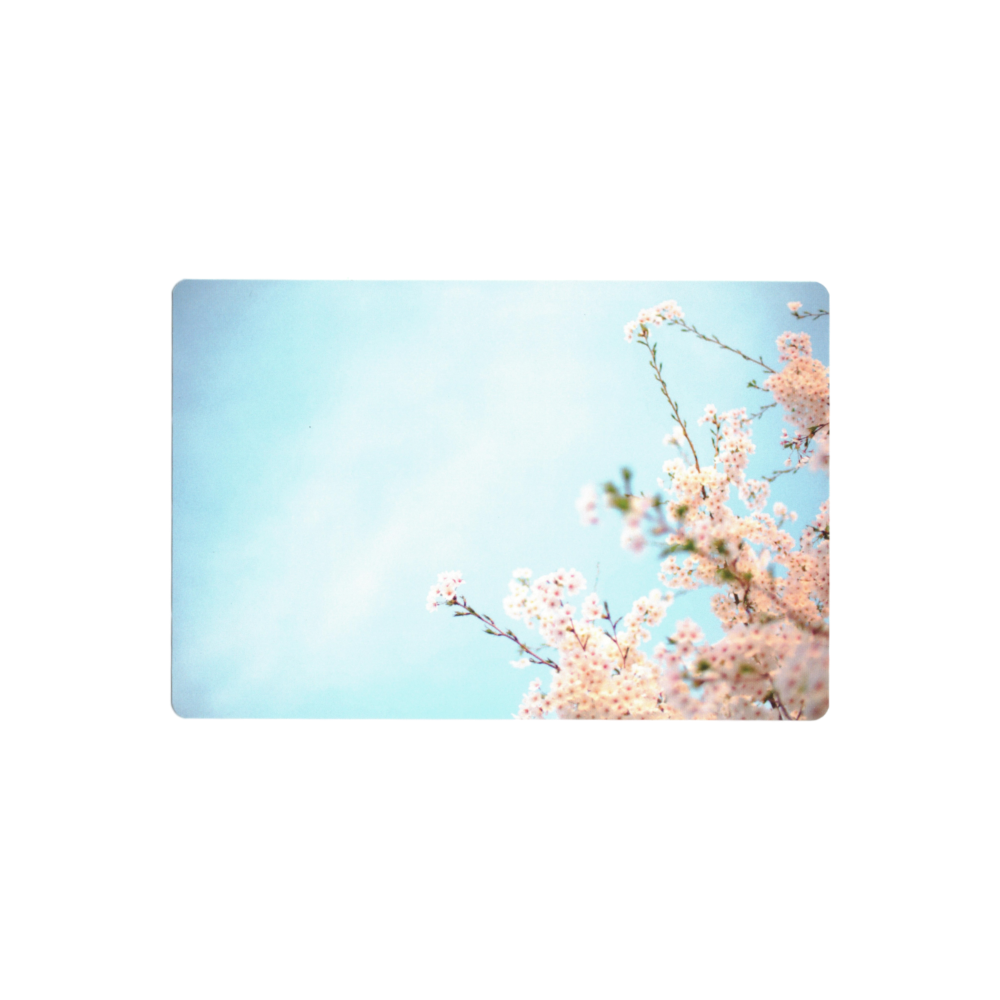 Postcard: South Korea (Cherry Blossom)