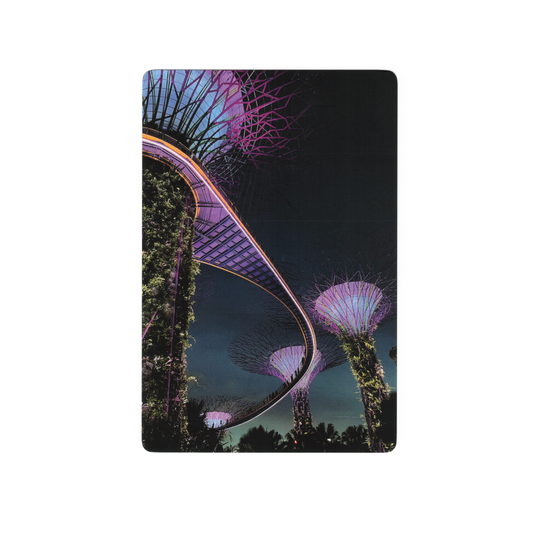 Postcard: Singapore Gardens by the Bay at Dusk