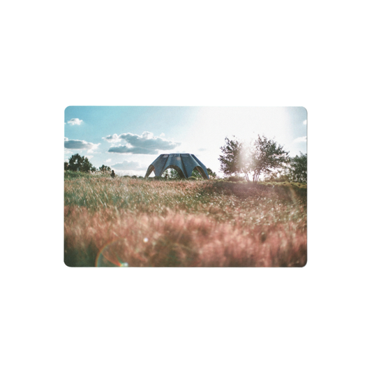 Postcard: South Korea (Kochia)