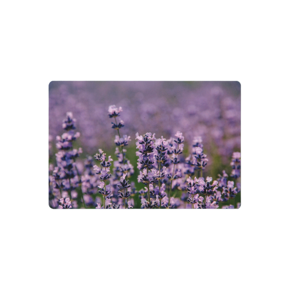 Postcard: South Korea (Lavender)