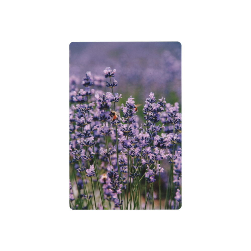 Postcard: South Korea (Lavender)