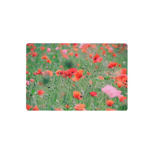 Postcard: South Korea (Poppies)