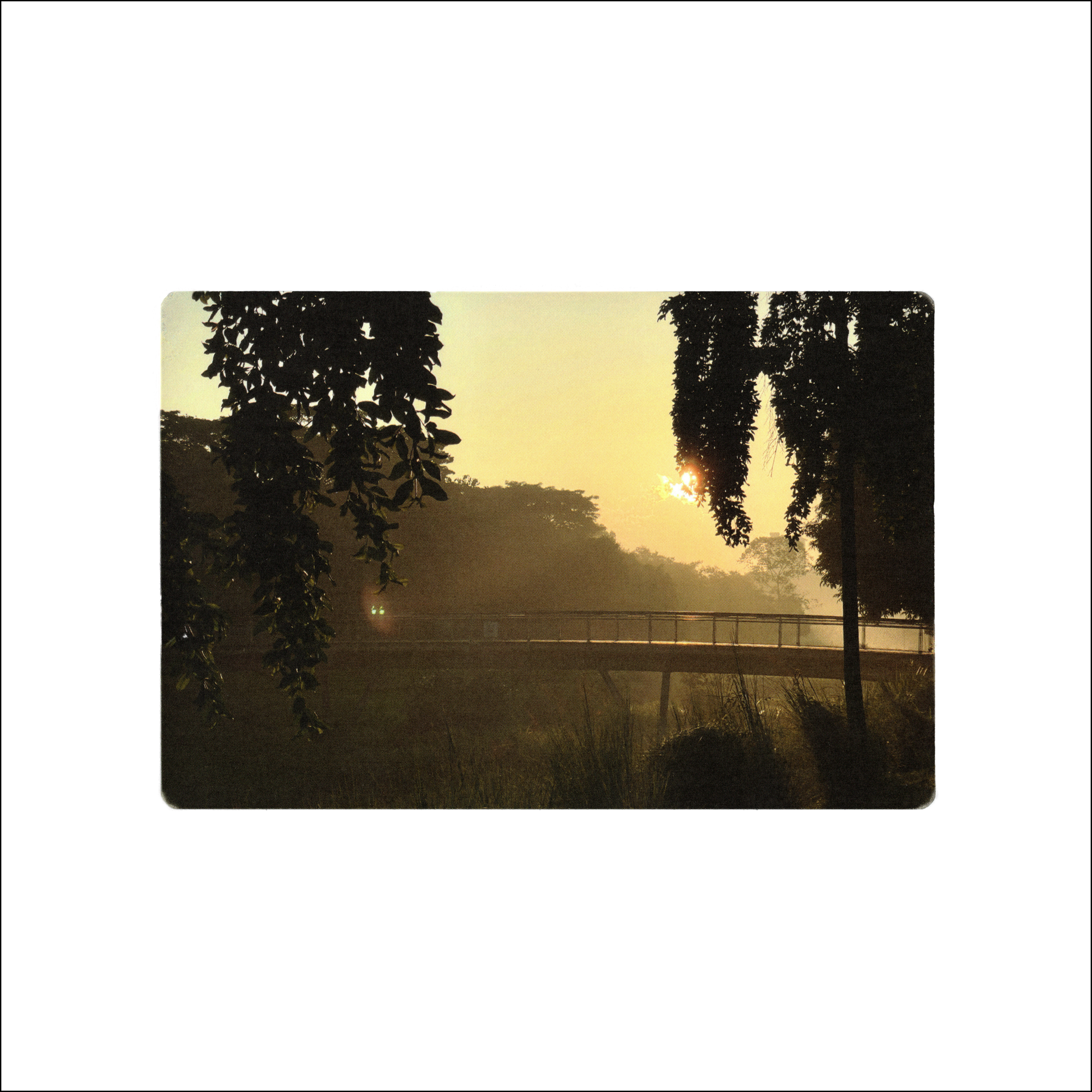 Postcard: Singapore Golden Hour