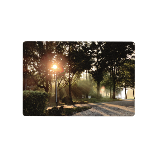 Postcard: Singapore Komorebi